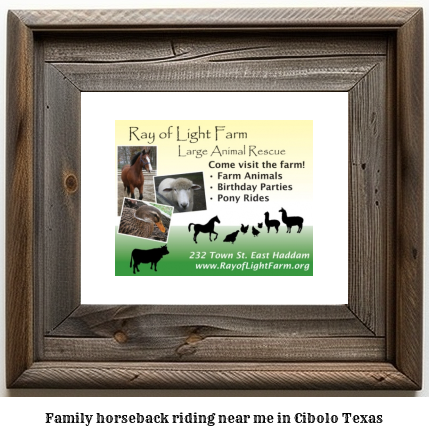 family horseback riding near me in Cibolo, Texas
